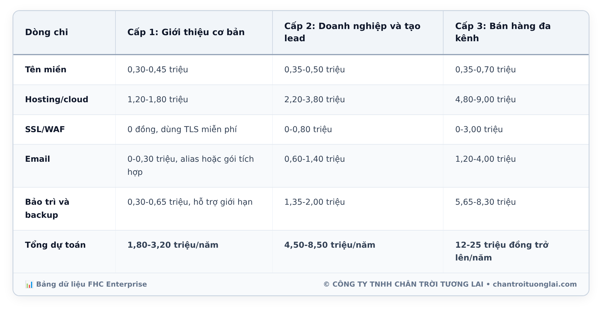 Bảng dữ liệu chi tiết - Chi phí duy trì website hằng năm: Bảng kê 5 khoản mục bắt buộc và kinh nghiệm tối ưu ngân sách